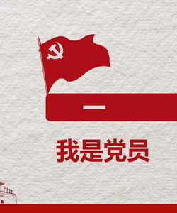 党员个人工作总结