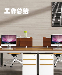 工作总结